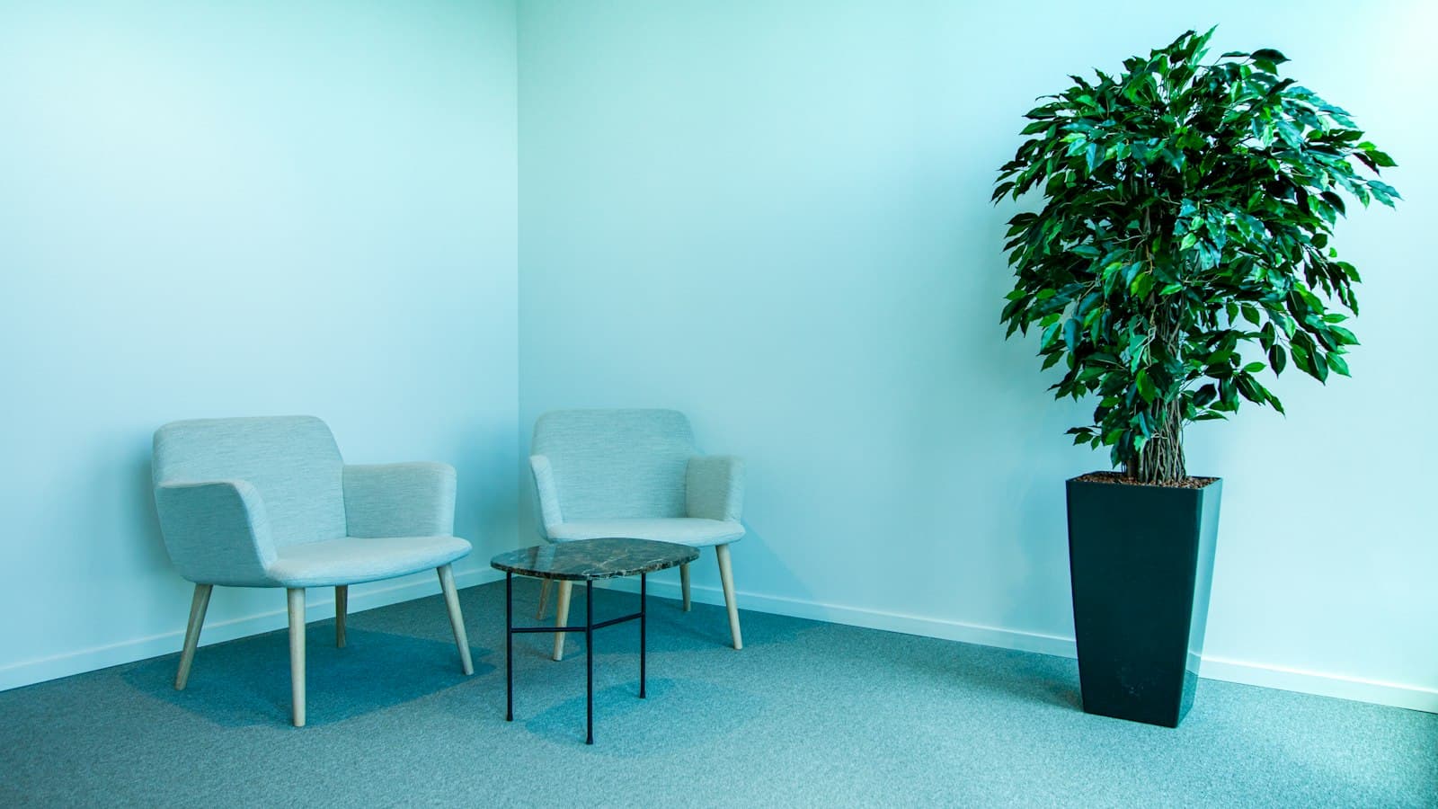 Sala de espera clara e vazia, com duas poltronas e uma planta no canto